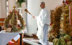 786927758_28715250428092349_6866343978644917679_n
